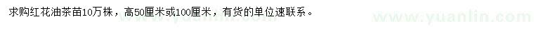 求購(gòu)高50或100公分紅花油茶小苗