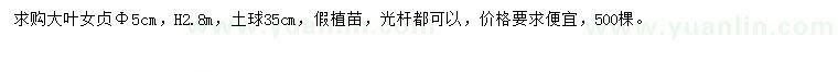 求購胸徑5公分大葉女貞