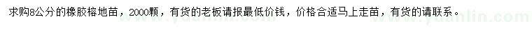 求購8公分橡膠榕地苗