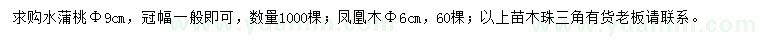 求購水蒲桃、鳳凰木