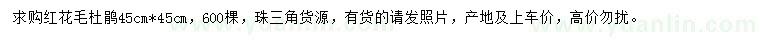 求購紅花毛杜鵑