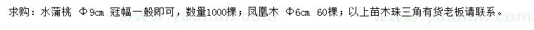 求購胸徑9公分水蒲桃、胸徑6公分鳳凰木