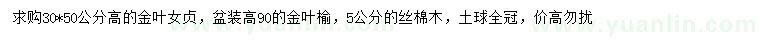 求購(gòu)金葉女貞、金葉榆、絲棉木