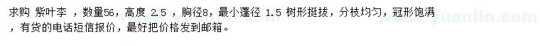 求購胸徑8公分紫葉李