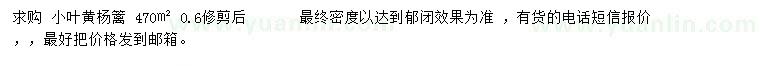 求購小葉黃楊籬