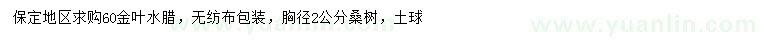 求購60公分金葉水臘、胸徑2公分桑樹