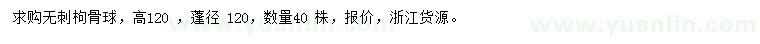 求購高120公分無刺枸骨球