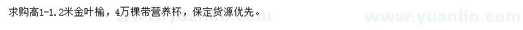 求購高1-1.2米金葉榆