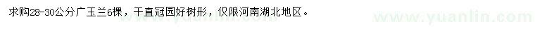 求購(gòu)28-30公分廣玉蘭
