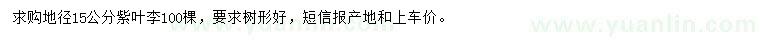 求購地徑15公分紫葉李