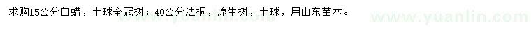 求購(gòu)15公分白蠟、40公分法桐