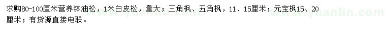 求購油松、白皮松、三角楓等