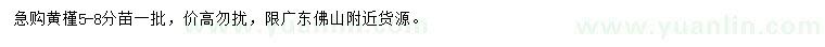 求購5-8公分黃槿