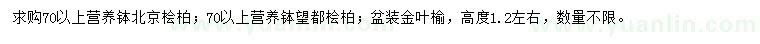 求購北京檜柏、望都檜柏、金葉榆