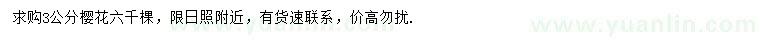 求購3公分櫻花