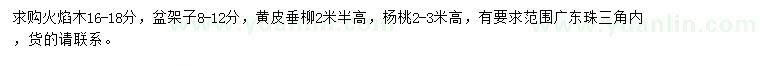 求購火焰木、盆架子、黃皮垂柳等