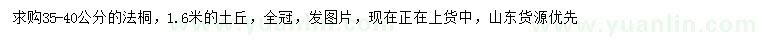 求購35-40公分法桐