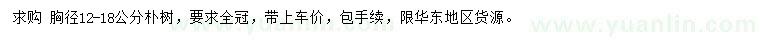 求購胸徑12-18公分樸樹