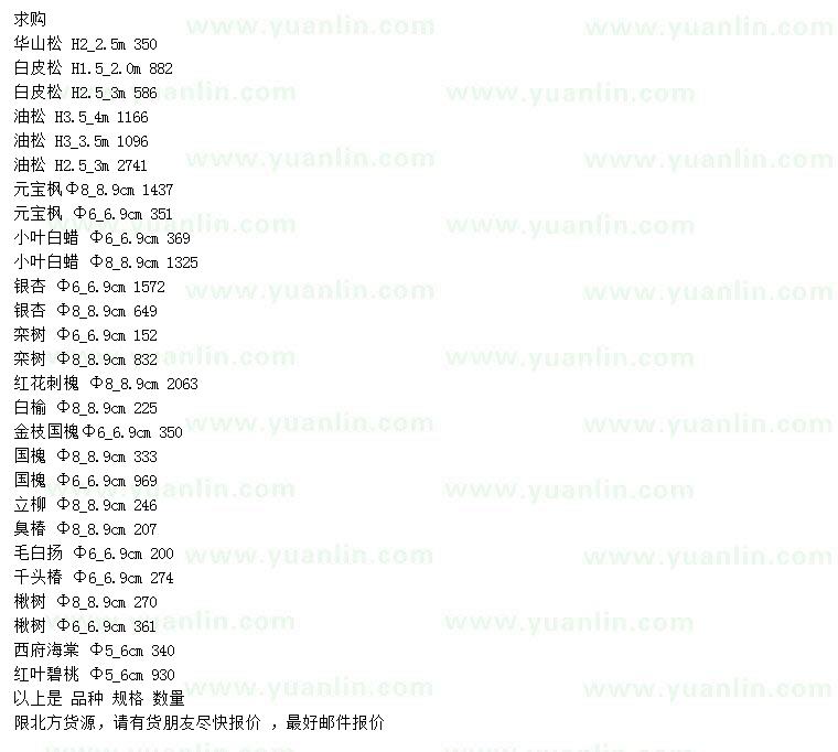求購華山松、白皮松、油松等