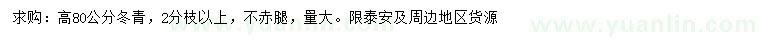 求購高80公分冬青