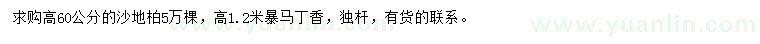 求購(gòu)高60公分沙地柏、高1.2米暴馬丁香