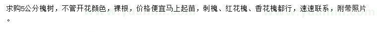 求購(gòu)5公分槐樹(shù)