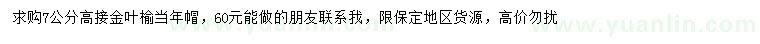 求購(gòu)7公分高接金葉榆