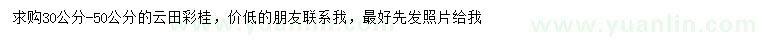 求購30-50公分云田彩桂