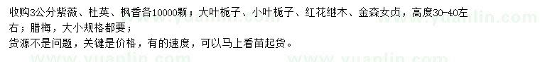 求購紫薇、杜英、楓香等