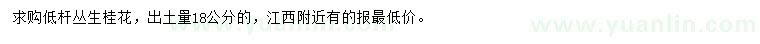 求購出土量18公分叢生桂花