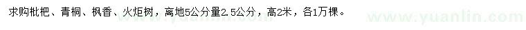 求購(gòu)枇杷、青桐、楓香等