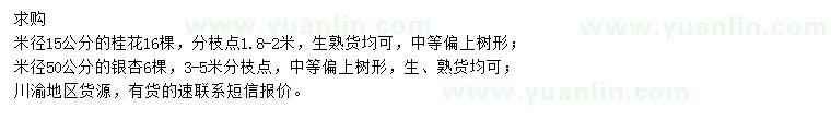 求購米徑15公分桂花、米徑50公分銀杏