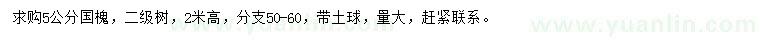 求購5公分國槐