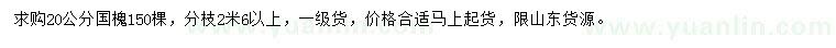 求購20公分國槐