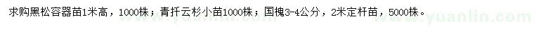 求購黑松、青扦云杉、國槐