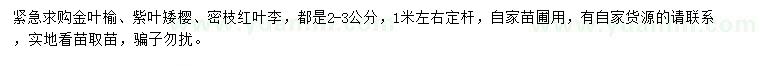 求購(gòu)金葉榆、紫葉矮櫻、密枝紅葉李