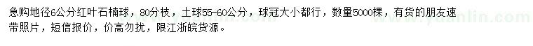 求購地徑6公分紅葉石楠球