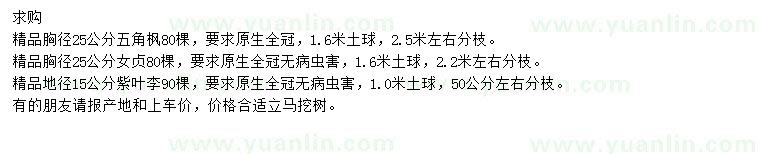 求購(gòu)五角楓、女貞、紫葉李