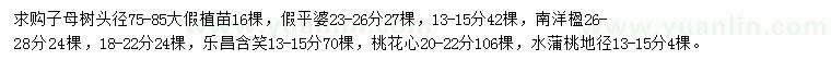求購子母樹、假平婆、南洋楹等