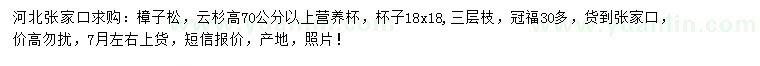 求購高70公分以上樟子松、云杉