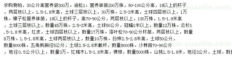 求購側(cè)柏、油松、樟子松等