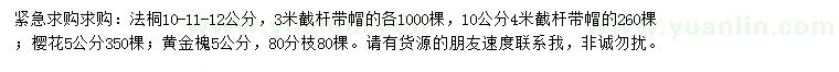 求購法桐、櫻花、黃金槐