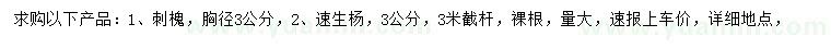 求購胸徑3公分刺槐、速生楊