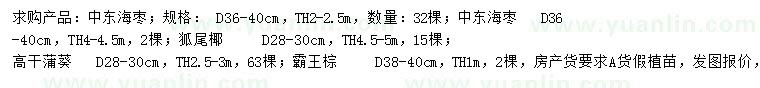 求購中東海棗、狐尾椰、蒲葵等