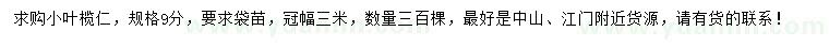 求購9公分小葉欖仁