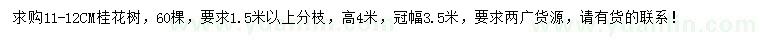 求購11-12公分桂花