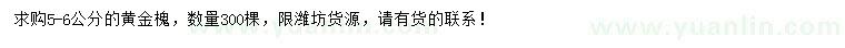 求購5-6公分黃金槐