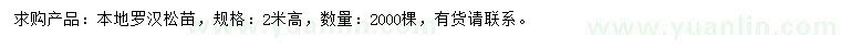求購2米高本地羅漢松