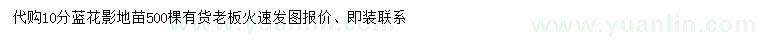 求購(gòu)10公分藍(lán)花楹