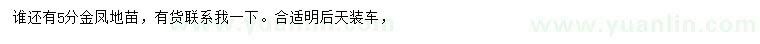 求購(gòu)5公分金鳳